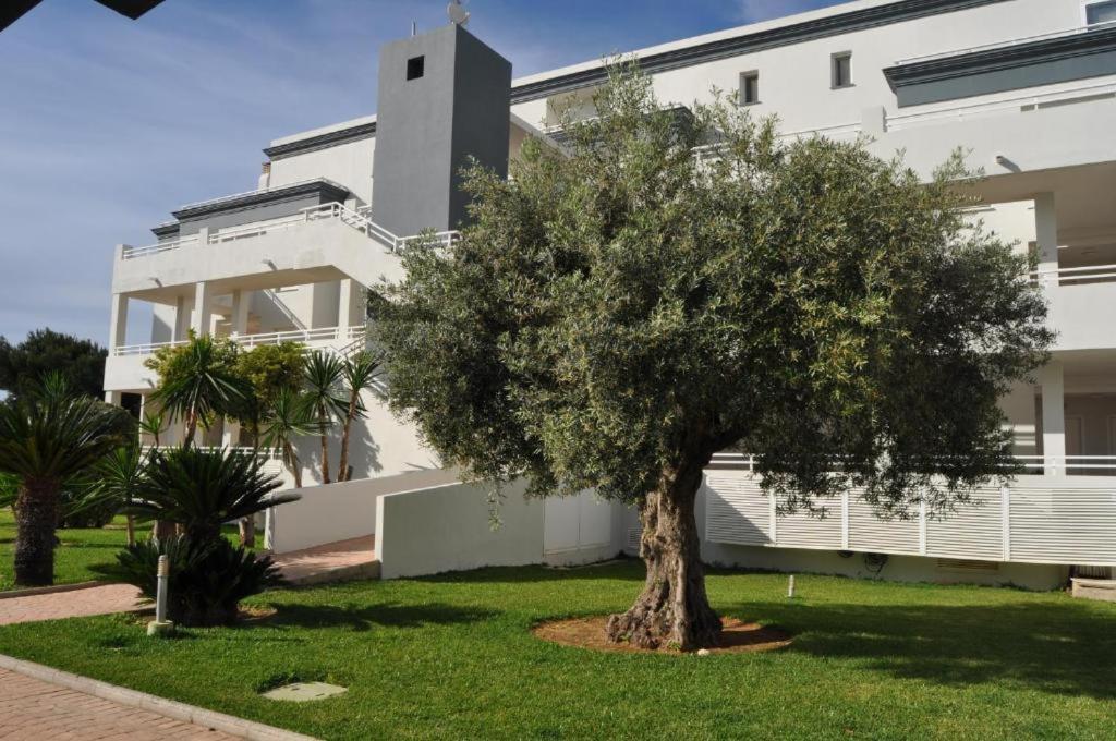 Апартаменти Oasis Hoyo 12 - Oliva Nova Playa Met&Golf Екстер'єр фото