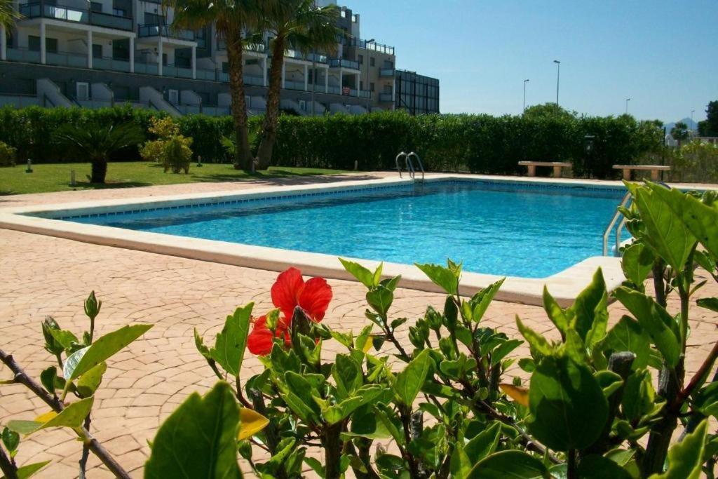Апартаменти Oasis Hoyo 12 - Oliva Nova Playa Met&Golf Екстер'єр фото